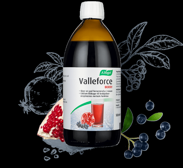 Valleforce Original Berry 500 Ml - Plej din fordøjelse