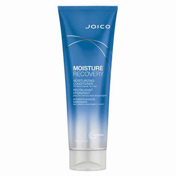 Joico Moisture Recovery Balsam 250ml - Perfekt til tørt hår