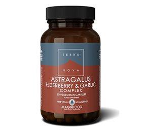 Terranova Astragalus, Hyldebær & Hvidløg 50 Kapsler