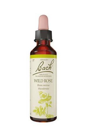 Bach Hunderose Ekstrakt 10ml - Naturlig Blomstermedicin