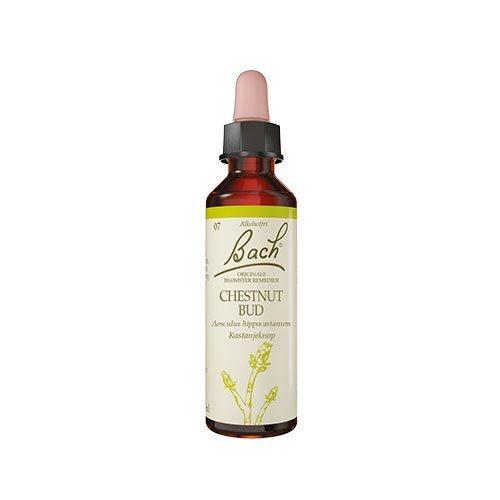 Bach Kastanieknop Ekstrakt 10ml - Naturlig Blomstermedicin