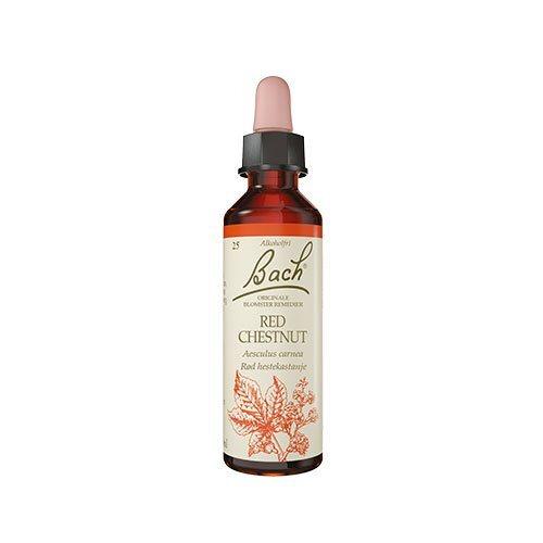 Bach Rød Hestekastanie 10ml - Naturlig Blomstermedicin