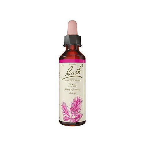 Bach Skovfyr Ekstrakt 10ml - Naturlig Blomstermedicin