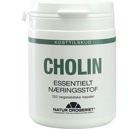 Nd Cholin 120 Kapsler - Styrk din fordøjelse!