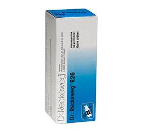 Dr. Reckeweg R 26 Bull 50 Ml - Homøopatisk kompleksmiddel