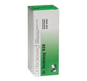 Dr. Reckeweg R 29 Bull 50 Ml - Effektiv Homøopatisk Behandling