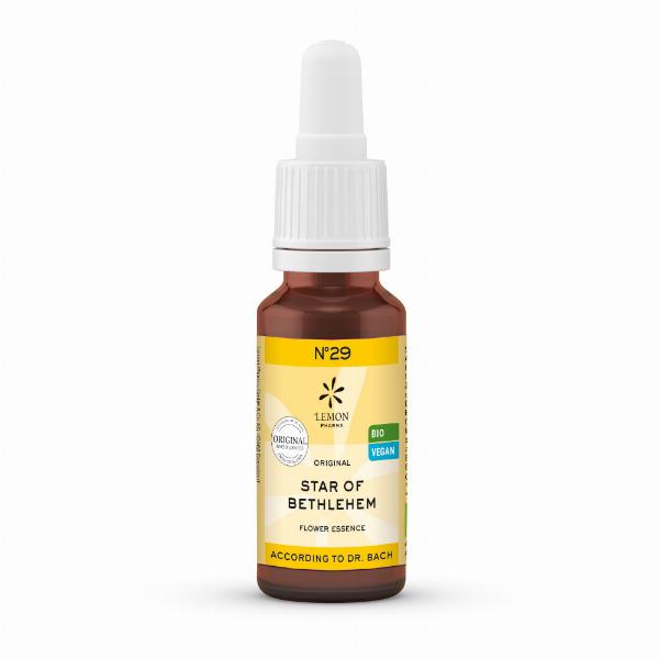 Bachblomster Fuglemælk - Star Of Bethlehem 20ml