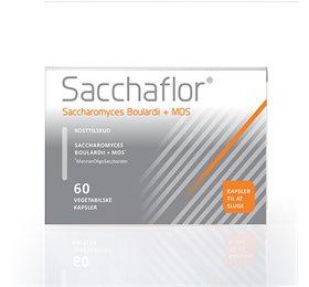 Sacchaflor 60 Kapsler - Styrk dit immunsystem!
