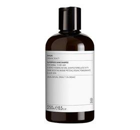 Evolve Superfood Shine Shampoo 250ml - Plej dit hår naturligt