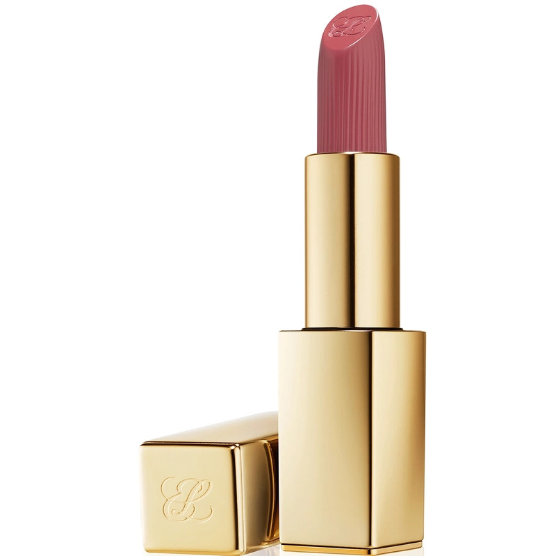 Estee Lauder Pure Color Lipstick Matte 3 5 Gr 669 Stolen Heart