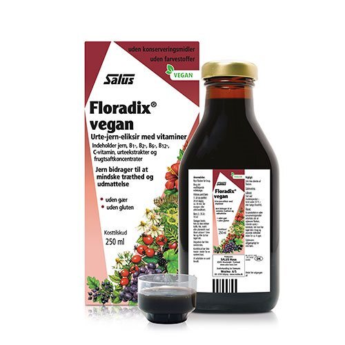 Floradix Vegan   250 Ml