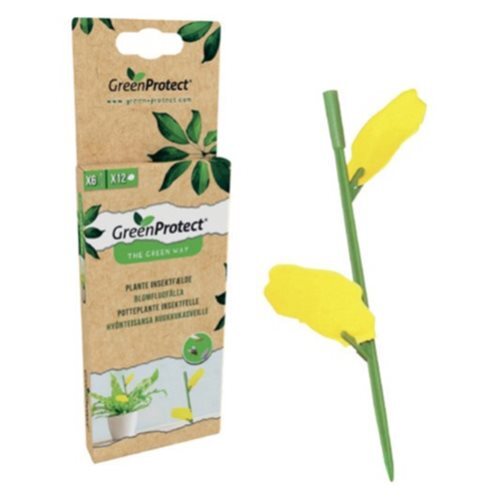 Green Protect Plante Insektfælde 1 Pk