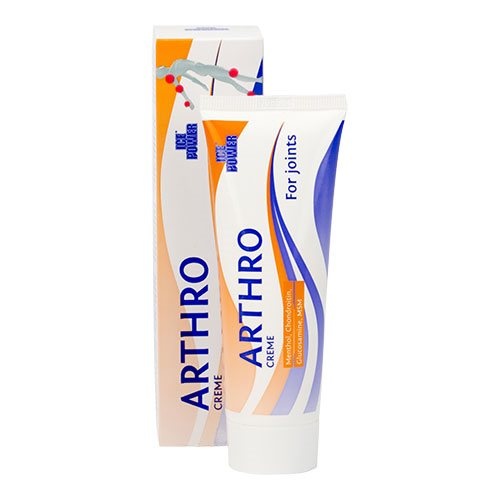 Ice Power Arthro 60 Gram