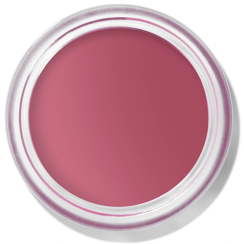Bobbi Brown Pot Rouge Velvet Matte 8 5 Gr    Guava Punch