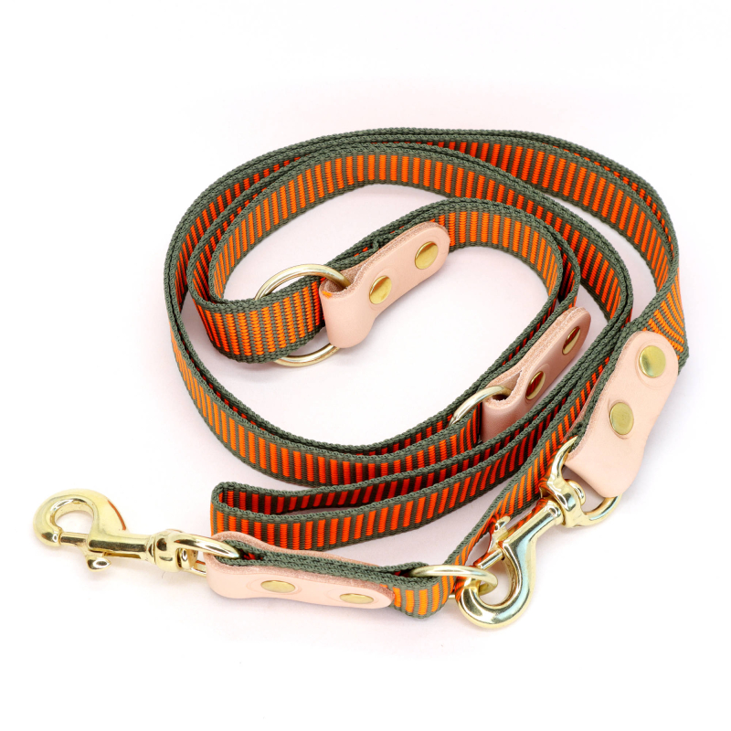 2 Farvet Hundesnor Med Karabinhage   Dressurline 25 Mm X 250 Cm Webbing