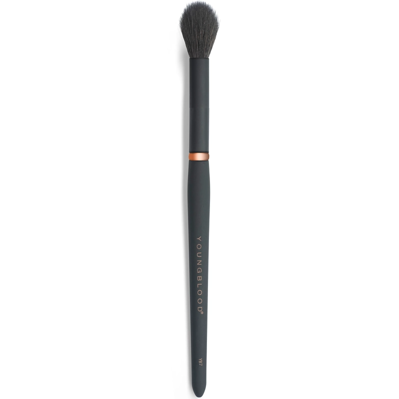 Youngblood Makeup Brush Highlight Yb7