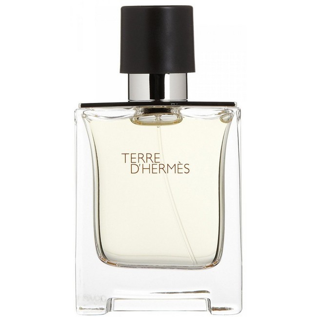 Hermes   Terre D Hermes Eau De Toilette 100 Ml