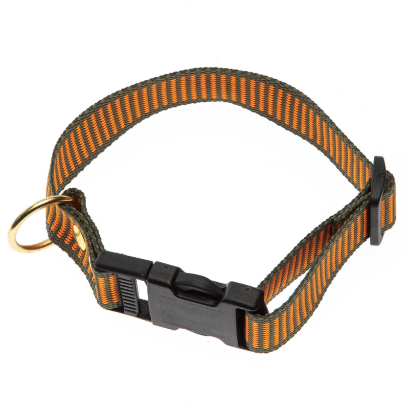 2 Farvet Halsbånd   Orange   Grøn Halsrem 25 Mm X 40 Cm
