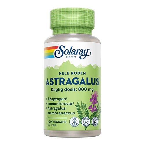 Astragalus   100 Kapsler