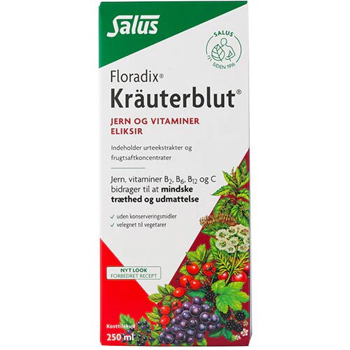 Floradix Kr? Uterblut   250 Ml