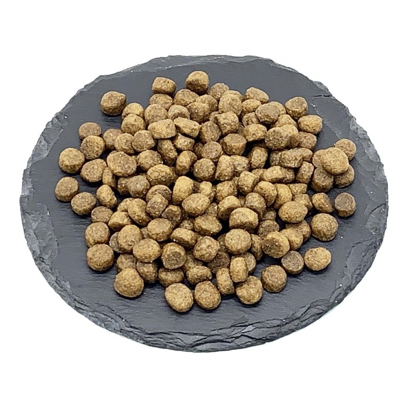 Foderprøve Probiotic Live Mini Puppy   Hvalpefoder Med Kalkun Til Små Hunderacer