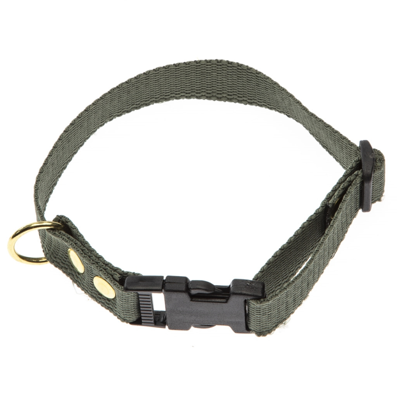 Grønt Halsbånd   Halsrem 25 Mm X 60 Cm I Webbing