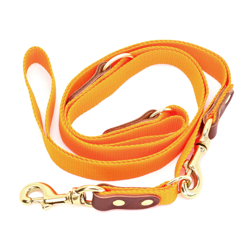 Orange Hundesnor Med Karabinhage   Dressurline 25 Mm X 250 Cm I Webbing