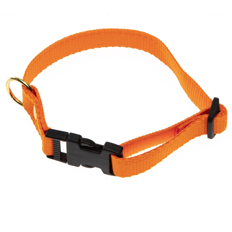 Orange Halsbånd   Halsrem 25 Mm X 60 Cm I Webbing